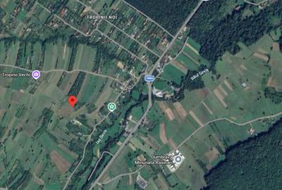 Teren intravilan 6.600 mp Tropinii Noi Rășinari –70 €/mp – PRIVELIȘTE PANORAMICĂ - 3