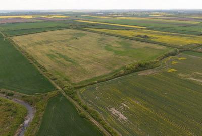Teren investițional strategic 44.700 mp Arad Vest - 15