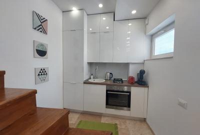 Vanzare Apartament 2 camere la casa individuala, Universitate-Magheru - 9