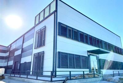 Inchiriere depozit frigorific congelare/hala/spatiu industrial Otopeni - Centura - 4