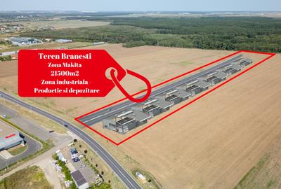 Teren Vanzare Intravilan Branesti - Investitie Zona Industriala Vis a Vis Makita - 1