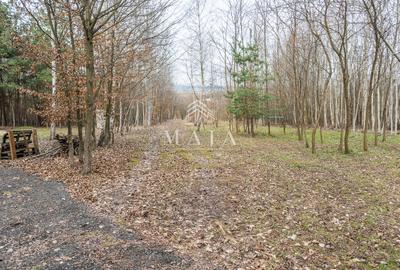 Teren extravilan 2200 mp, zona Calea Poplăcii, la 5 min de Valea Aurie - 6