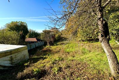 Casă individuală, 440 mp teren, cartier Dâmbul Rotund - 6