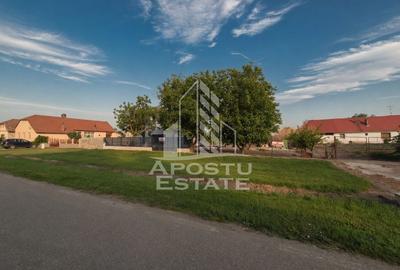 Casă de vânzare în Iecea Mică, de finalizat după propriul gust - 1