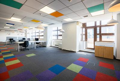 Spatii birouri de inchiriat zona Piata Victoriei - Dorobanti, Bucuresti - 6