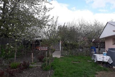 Vând grădină în Tg.Frumos - 16