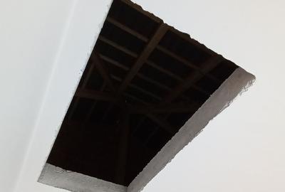 Sanandrei, Duplex pe Etaj, Drum Asflatat, Bucatarie Separata - 17