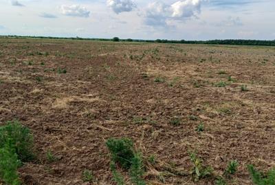 Teren intravilan de vanzare | Peris | 10.000 mp | Investitie sigura - 8