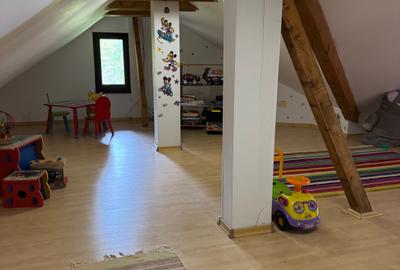 Casa de vacanta Predeal - 14