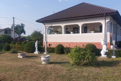 Ploiesti Puchenii Mari - Odai, la 15 km de Ploiești și 40 km de Buc - 11
