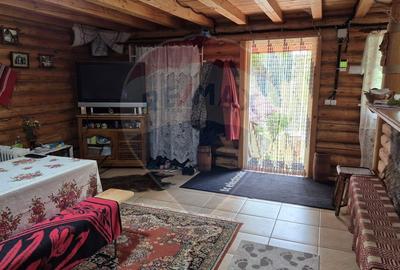 Casuta de la munte - 3