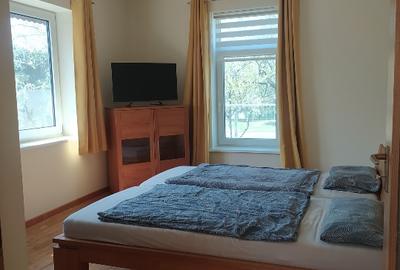Casă spațioasă de vânzare in Nădlac - 15
