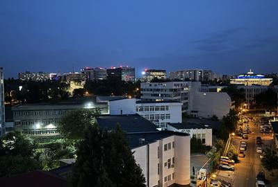 Studio Grozavesti Nou | View Superb - 13
