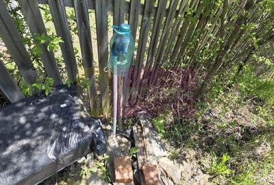 Teren cu Casuta de lemn in Sotrile (langă Valea Doftanei) - 7