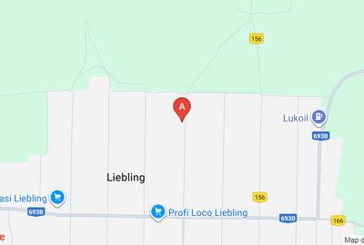 Terein jud Timis Com. Liebling - 1