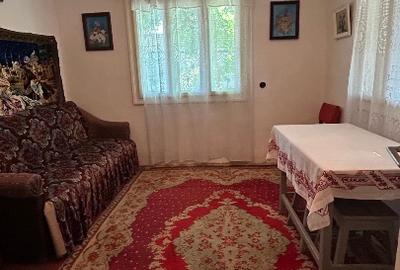 Casa batraneasca cu teren mare - 7