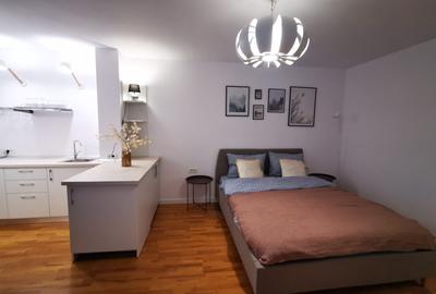 Apartament 1 camera Bulevardul Take Ionescu / Medicina ! - 11