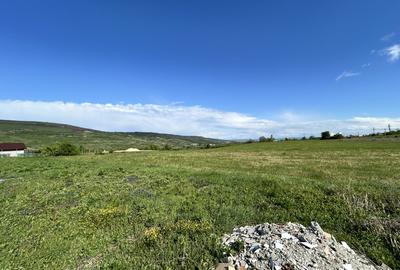 Teren extravilan parcelabil 5.547mp Valea Chintaului / Cluj - 1