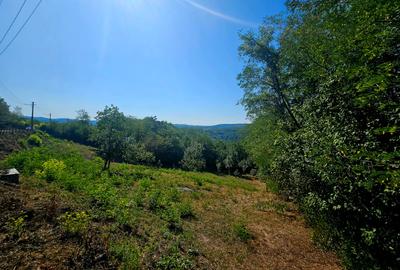 Teren intravilan 2322 mp, Păcuri – vedere superbă spre pădure! - 4