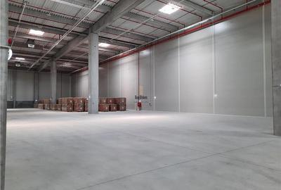 Spatiu Industrial - 3000 mp - Logistica - Depozitare - Distributie - 4