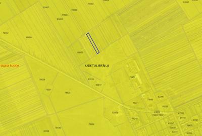 Teren agricol extravilan de 20890 mp, în Salcia Tudor - 3