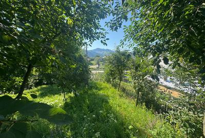 Vanzare casa locuibila in Frasin Gura Humorului - vedere panoramica/utilitati - 5