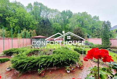 VILA D+P+E+M, 12 camere, piscina , padure, IANCU NICOLAE - 3