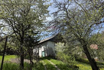 Casă  de vânzare în zona Câmpulung înconjurată de natura - 17