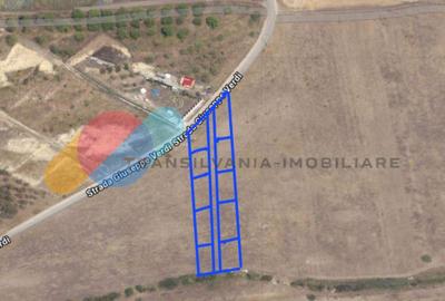 Teren 600 Mp, zona Giuseppe Verdi - 4