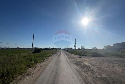 Teren 10.555mp Clinceni /Str.Drumul Mare -850 m până la Sos de Centură - 10