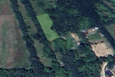 Teren Cartier Rezidential Nou- Natura, Liniste si Acces Facil la Scoli - 1