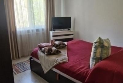 2 camere , decomandat, 51mp, Nicolina - prima statie dupa Podu Ros - 14