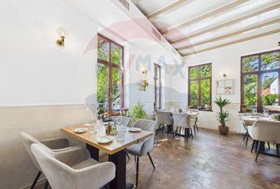 Afacere de vanzare, restaurant Gradina Icoanei - 17