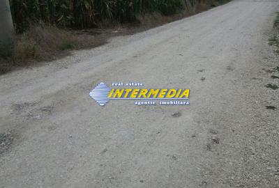 Teren Intravilan 11.150 mp deschidere 38 m. PUZ aprobat P+3 toate utilitatile - 1