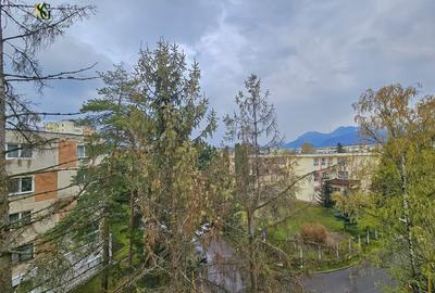 Apartament cu 2 camere, zona Astra - 17