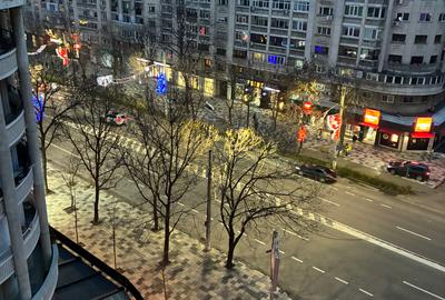 Decebal -Rond Alba Iulia -contract ANAF-pet friedly - 21