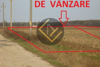 Teren 9Ha -> 16Ha Ha Intravilan , Exit A3 Snagov Ghermanesti Bucuresti-Ploiesti - 12
