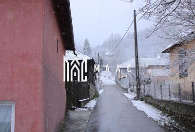 Teren I izvor de apă minerală  Dangești I Punctul Valea Mare - 19