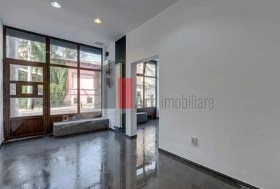 Spatiu comercial de inchiriat in zona Stefan cel Mare/Strada Viitorului (Horeca) - 1