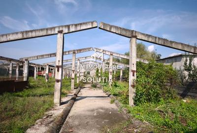 Complex industrial  cu teren 18,672 mp Târgu Lăpuș - 21