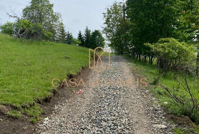 Teren de vânzare în Cisnădioara, aproape de cetate, cu priveliște superbă - 3
