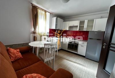Apartament 1 CD 40 mp mobilat si utilat complet Copou Universitate pet friendly - 3