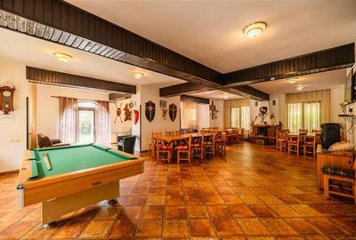 FILM! Pensiune turistica+Casa+transfer afacere+teren,Cheile Rasnoavei,Brasov - 36