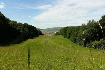 OPORTUNITATE UNICA, Teren inravilan strada Uliului 17234 mp - 1