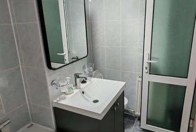 Inchiriere apartament  2 camere zona Republicii - 6