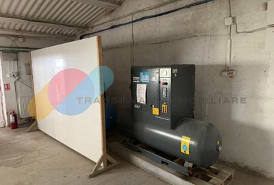 Complex industrial de vânzare – 2 hale producție + clădire birouri + parcare, ac - 11