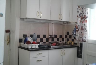 Apartament 132 mp utili si 60mp terasa Bd Lascar Catargiu - 6