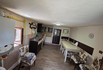 Vand casa Pestisul Mare Hunedoara - 4