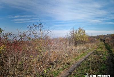 Oportunitate de investitie in zona Hub-ului Educational Borhanci - 10