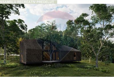 10.51 Euro + TVA / mp: Teren Bran Predelut, 24.253 mp, intravilan - 11